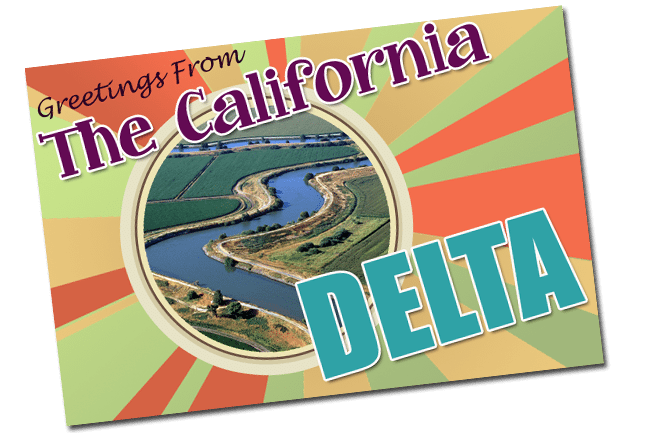 California Delta postcard