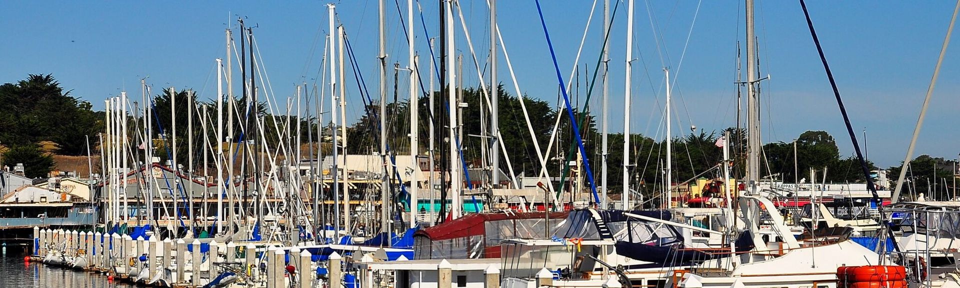 Boats docked in Monterey Harbor